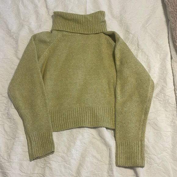 Nasty Gal Sweaters - Nasty Gal Pale Green Turtleneck Sweater